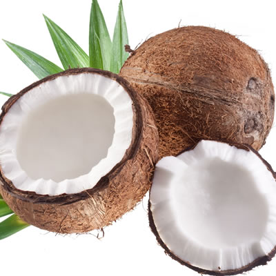 ココナッツオイル